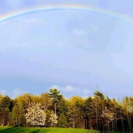 Family Friendly Cottage ☆Walking Distance To Beach 라이언스 헤드 외부 사진
