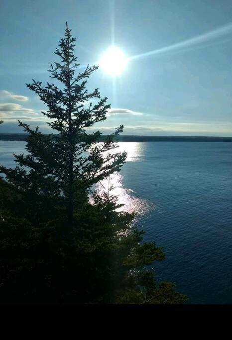 Family Friendly Cottage ☆Walking Distance To Beach 라이언스 헤드 외부 사진