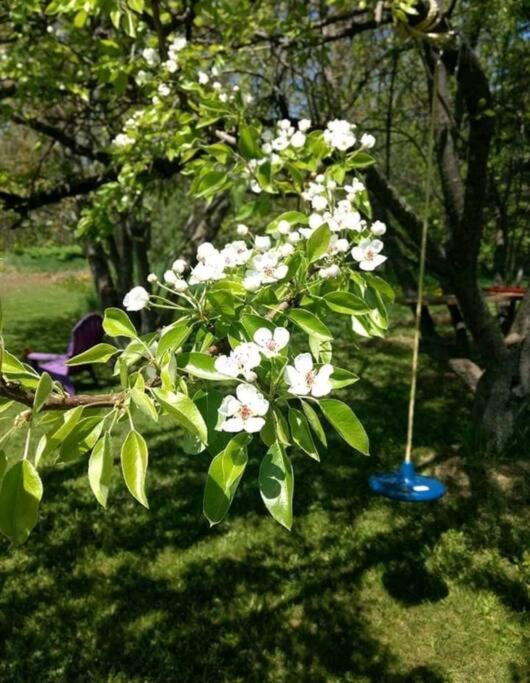 Family Friendly Cottage ☆Walking Distance To Beach 라이언스 헤드 외부 사진