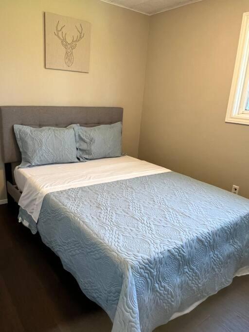 Family Friendly Cottage ☆Walking Distance To Beach 라이언스 헤드 외부 사진